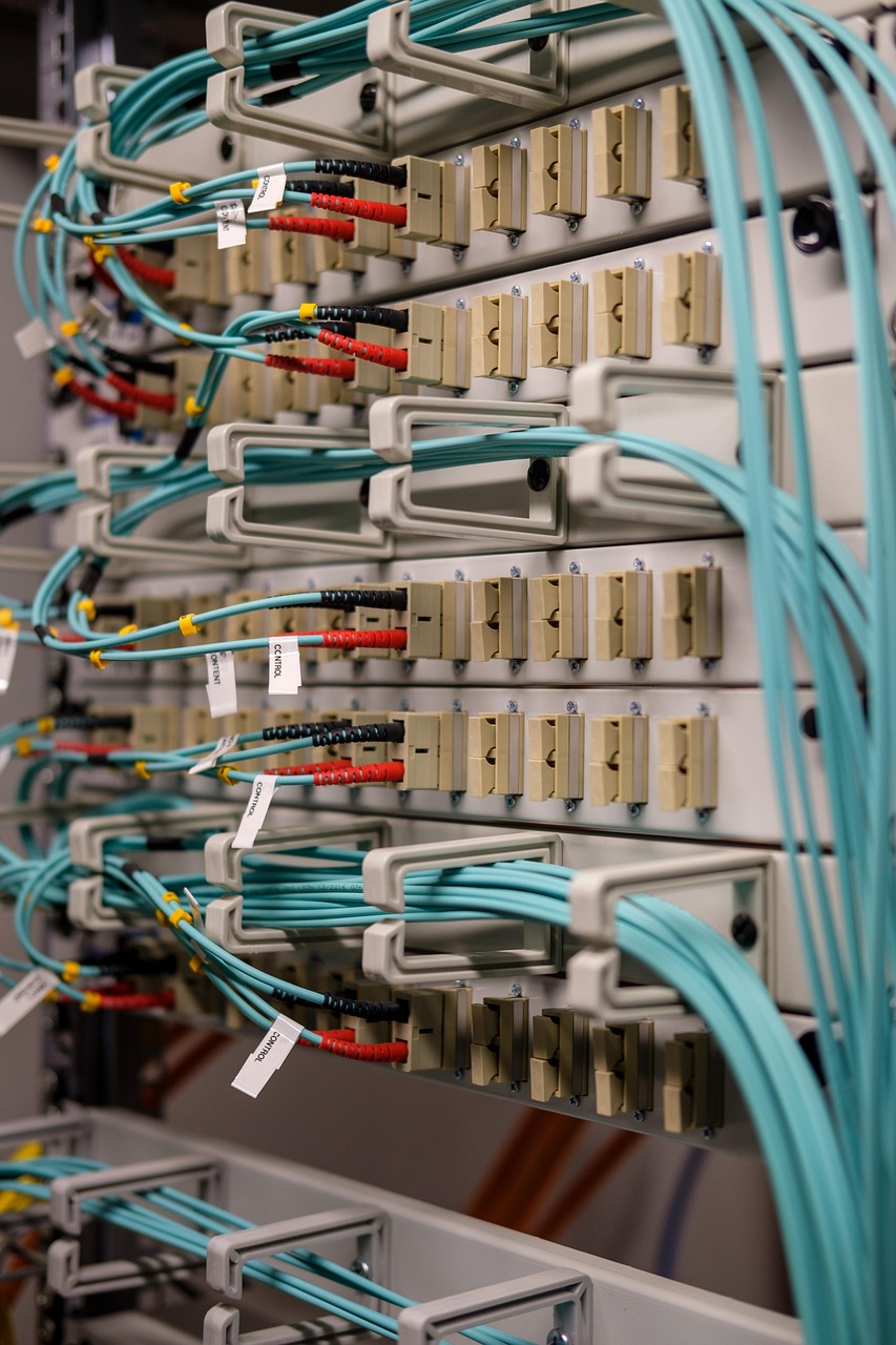 fiber optic, light waveguide, glass fiber, network, edp, plug, patch cord, data cable, ethernet, lan, spleisfeld, patch panel, hardware, data, dsl, internet, web, connection, connected, fiber optic, fiber optic, fiber optic, fiber optic, fiber optic, ethernet, patch panel